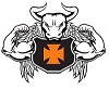 Kasutaja avatar